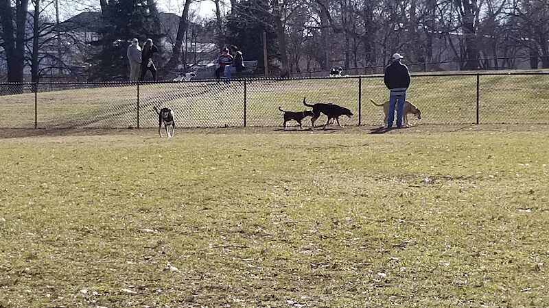 Lincoln Park Dog Park - Aurora, IL