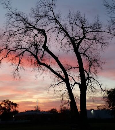 Lincoln Park Dog Park - Aurora, IL
