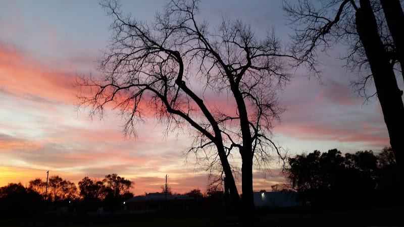 Lincoln Park Dog Park - Aurora, IL