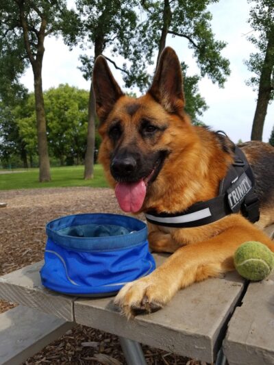 Lincoln Park Dog Park - Aurora, IL