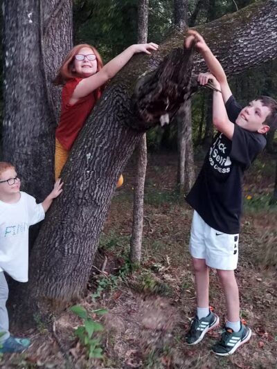 Austin City Park - Austin, AR