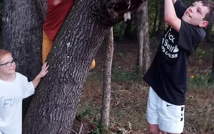 Austin City Park - Austin, AR