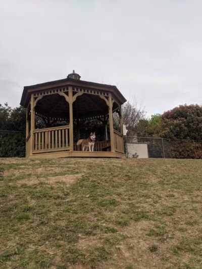 Wells Branch Dog Park - Austin, TX