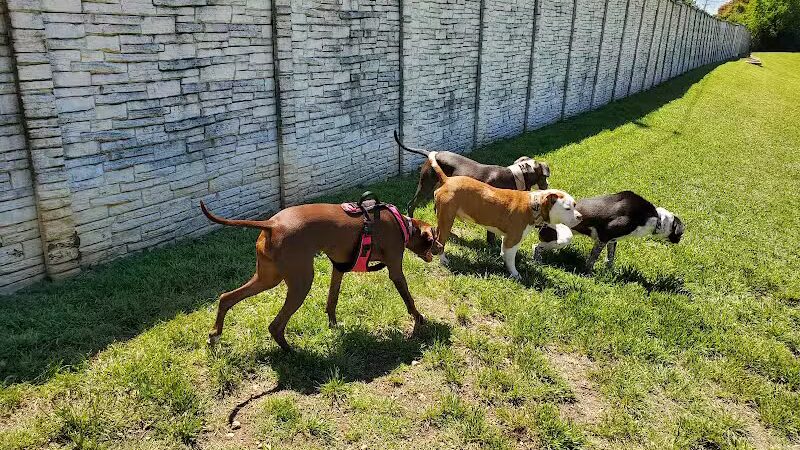 Wells Branch Dog Park - Austin, TX