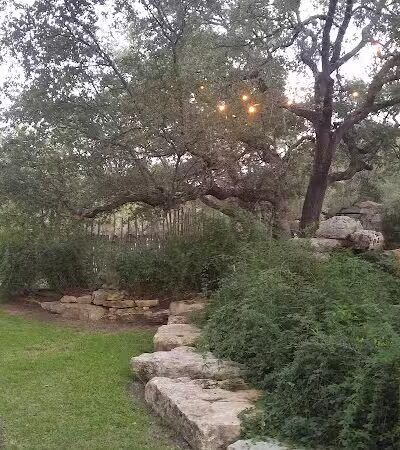 Wells Branch Dog Park - Austin, TX