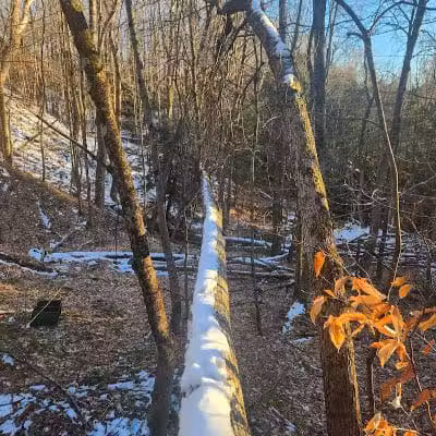 Poestenkill Community Forest - Averill Park, NY