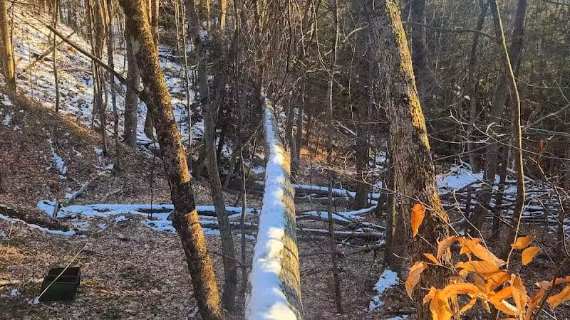 Poestenkill Community Forest - Averill Park, NY