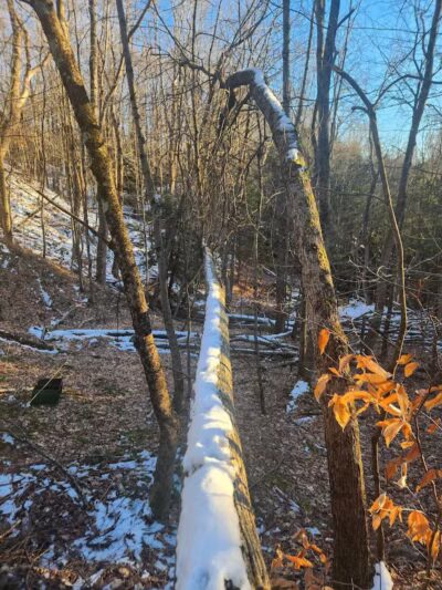 Poestenkill Community Forest - Averill Park, NY