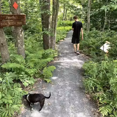 Poestenkill Community Forest - Averill Park, NY