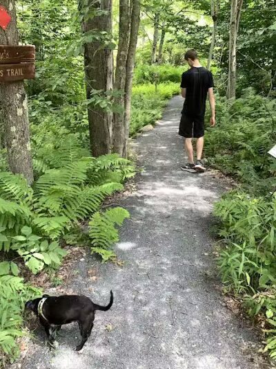 Poestenkill Community Forest - Averill Park, NY