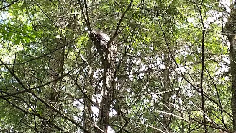 Poestenkill Community Forest - Averill Park, NY