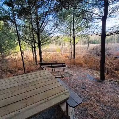 Poestenkill Community Forest - Averill Park, NY