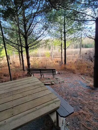 Poestenkill Community Forest - Averill Park, NY