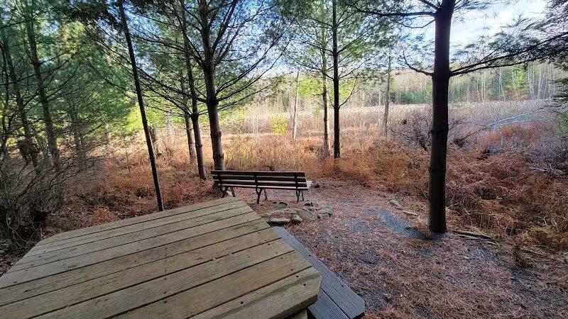 Poestenkill Community Forest - Averill Park, NY