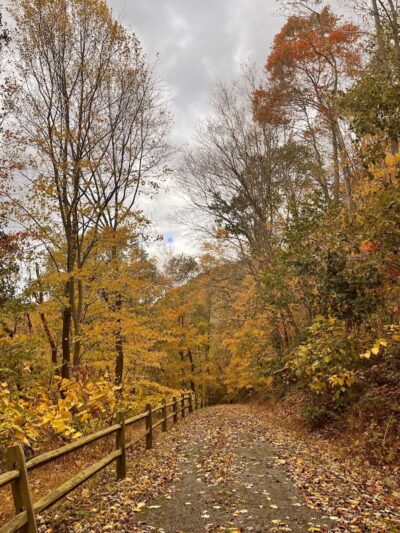 Edmon Trail - Avonmore, PA