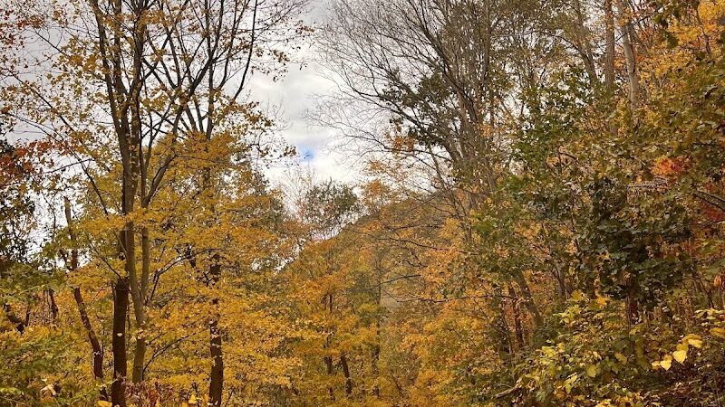 Edmon Trail - Avonmore, PA