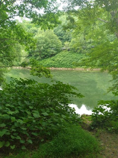 Edmon Trail - Avonmore, PA