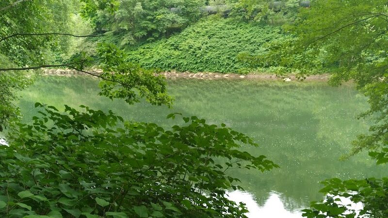 Edmon Trail - Avonmore, PA