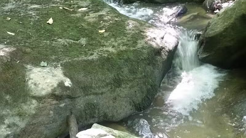 Edmon Trail - Avonmore, PA