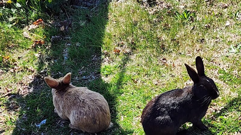 Baldwin Park - Baldwin, NY