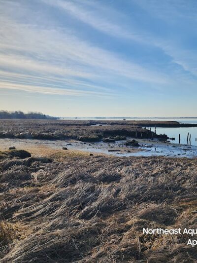 Baldwin Park - Baldwin, NY