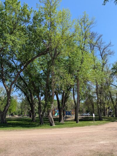 River Park - Baltic, SD