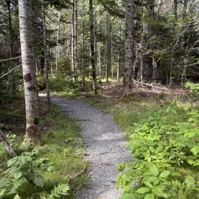 Blue Horizons Preserve - Bar Harbor, ME