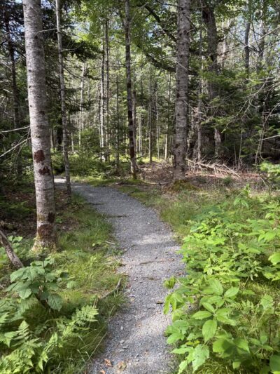 Blue Horizons Preserve - Bar Harbor, ME