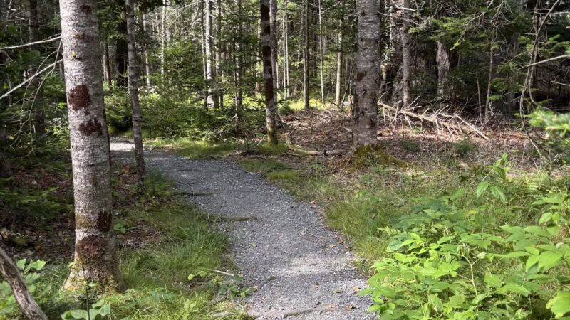 Blue Horizons Preserve - Bar Harbor, ME
