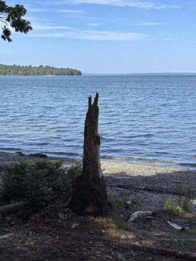 Blue Horizons Preserve - Bar Harbor, ME