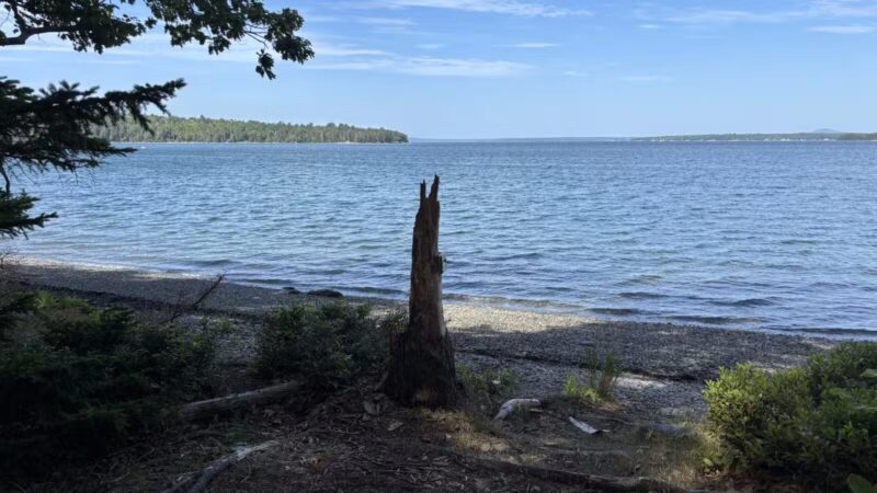 Blue Horizons Preserve - Bar Harbor, ME