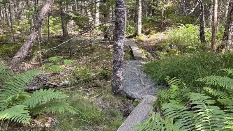 Blue Horizons Preserve - Bar Harbor, ME