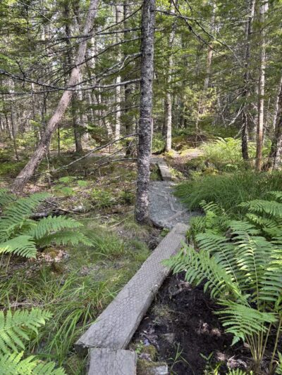 Blue Horizons Preserve - Bar Harbor, ME