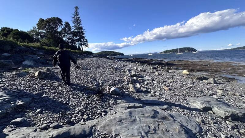 Grant Park - Bar Harbor, ME