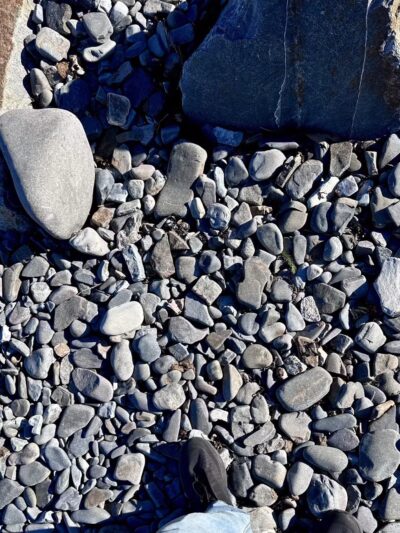 Grant Park - Bar Harbor, ME