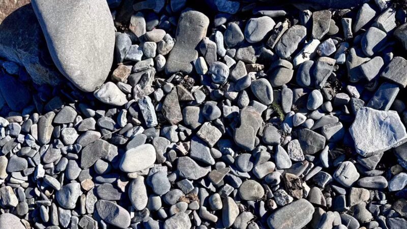 Grant Park - Bar Harbor, ME