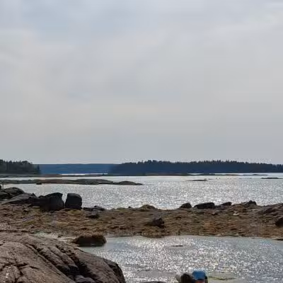 Indian Point Blagden Preserve - Bar Harbor, ME