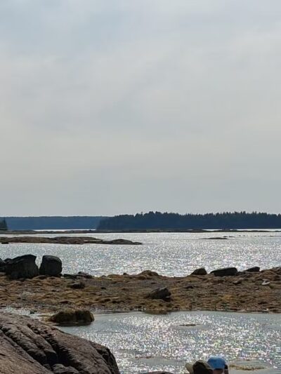Indian Point Blagden Preserve - Bar Harbor, ME