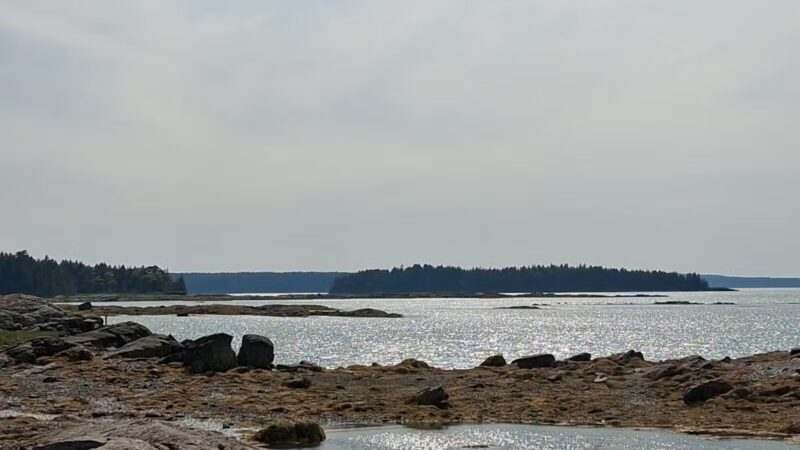 Indian Point Blagden Preserve - Bar Harbor, ME