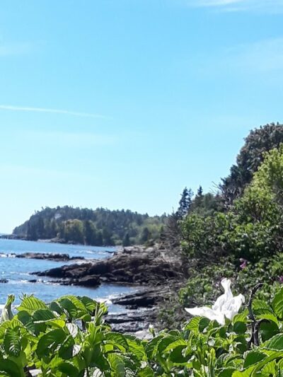Bar Harbor Shore path - Bar Harbor, ME