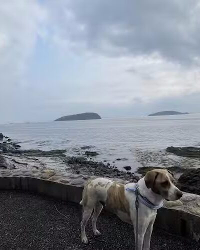 Bar Harbor Shore path - Bar Harbor, ME