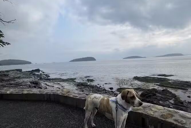 Bar Harbor Shore path - Bar Harbor, ME