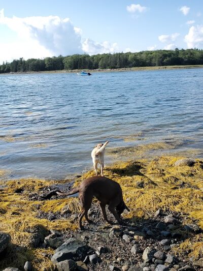 Blue Horizons Preserve - Bar Harbor, ME