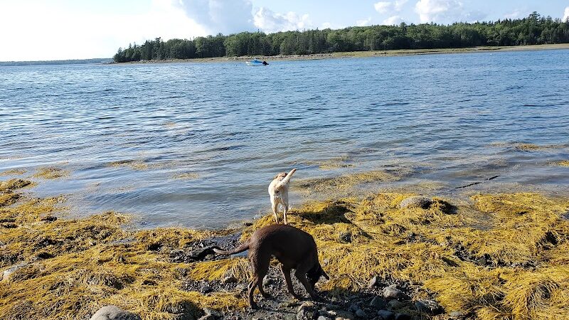 Blue Horizons Preserve - Bar Harbor, ME