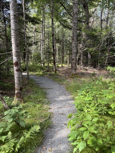 Blue Horizons Preserve - Bar Harbor, ME