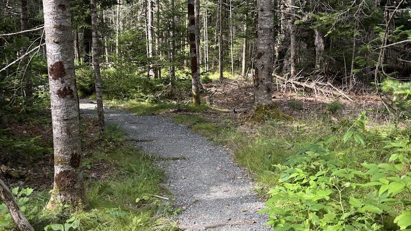 Blue Horizons Preserve - Bar Harbor, ME