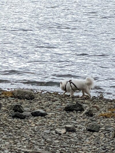 Blue Horizons Preserve - Bar Harbor, ME