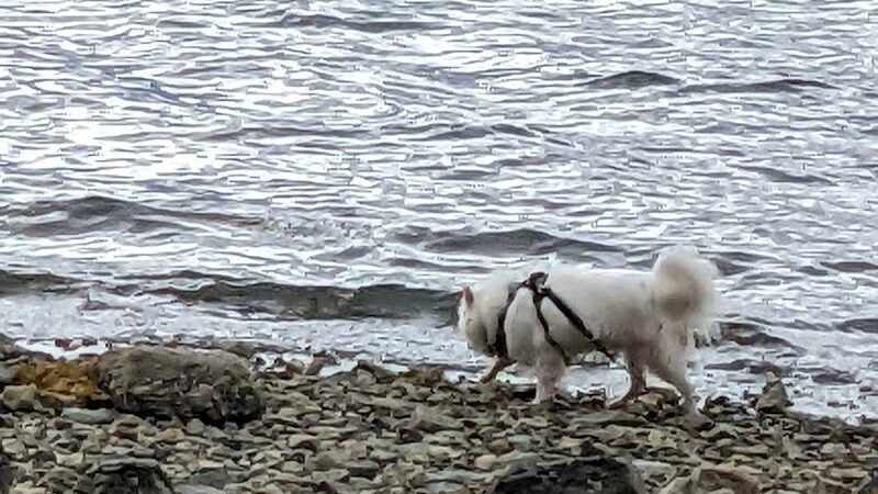 Blue Horizons Preserve - Bar Harbor, ME