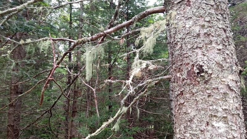 Blue Horizons Preserve - Bar Harbor, ME