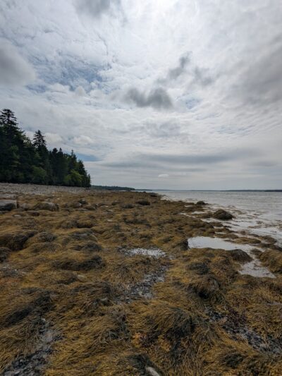 Blue Horizons Preserve - Bar Harbor, ME